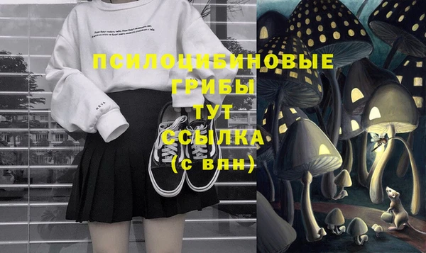 ECSTASY Аркадак