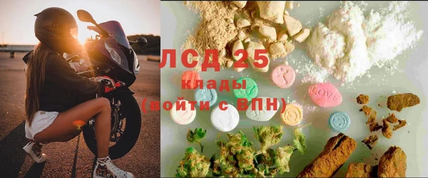 дживик Баксан